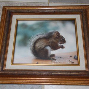 Cute Squirrel print in wood frame with liner